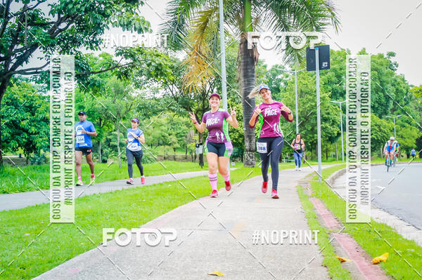 Buy your photos of the event2 Treino Cruzeiro Runners on Fotop