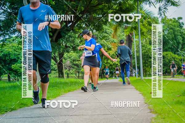 Buy your photos of the event2 Treino Cruzeiro Runners on Fotop