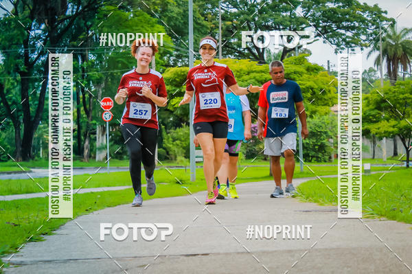 Buy your photos of the event2 Treino Cruzeiro Runners on Fotop