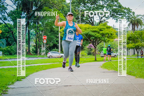 Buy your photos of the event2 Treino Cruzeiro Runners on Fotop