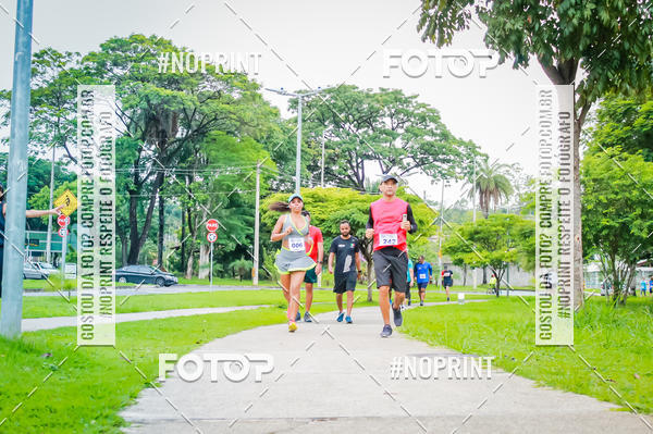 Buy your photos of the event2 Treino Cruzeiro Runners on Fotop
