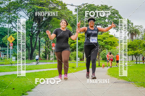 Buy your photos of the event2 Treino Cruzeiro Runners on Fotop