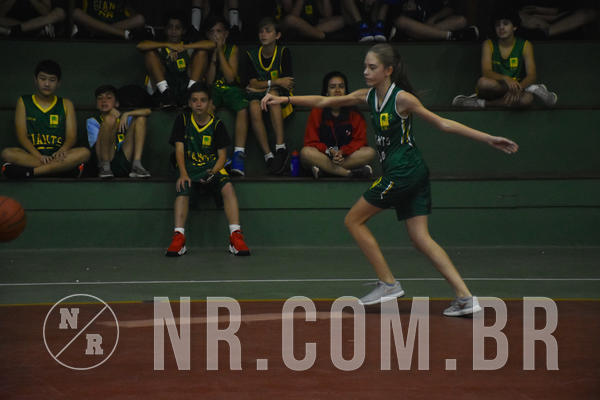 Buy your photos of the eventNR - Little 8 Basketball - 30 a 02/11/19 on Fotop