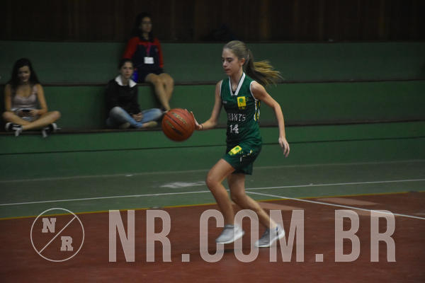 Buy your photos of the eventNR - Little 8 Basketball - 30 a 02/11/19 on Fotop