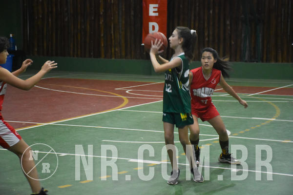 Buy your photos of the eventNR - Little 8 Basketball - 30 a 02/11/19 on Fotop