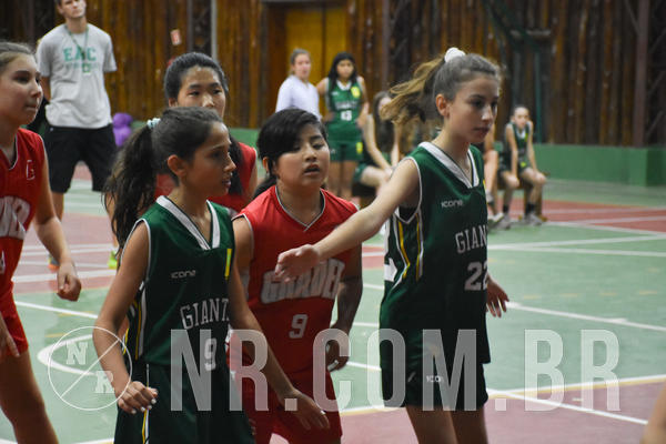 Buy your photos of the eventNR - Little 8 Basketball - 30 a 02/11/19 on Fotop