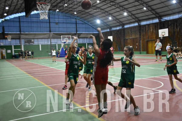 Buy your photos of the eventNR - Little 8 Basketball - 30 a 02/11/19 on Fotop