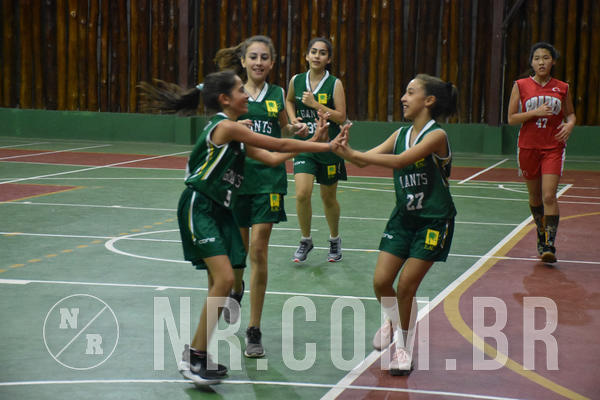 Buy your photos of the eventNR - Little 8 Basketball - 30 a 02/11/19 on Fotop