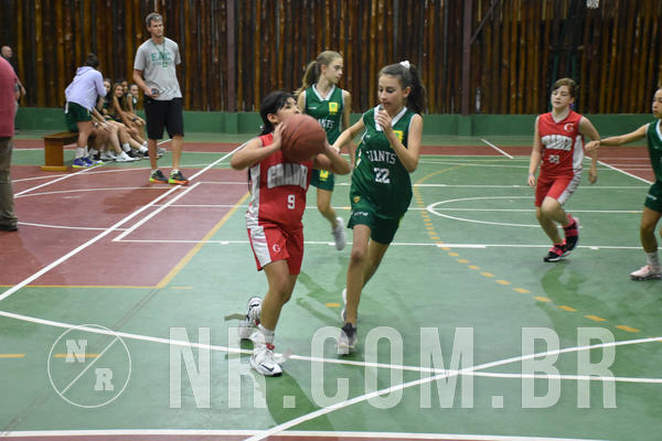 Buy your photos of the eventNR - Little 8 Basketball - 30 a 02/11/19 on Fotop