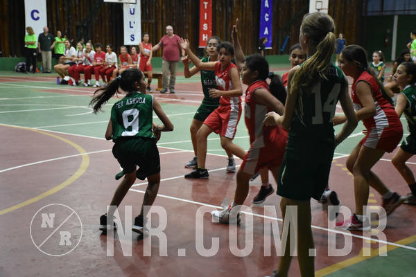 Buy your photos of the eventNR - Little 8 Basketball - 30 a 02/11/19 on Fotop