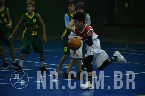 Buy your photos of the eventNR - Little 8 Basketball - 30 a 02/11/19 on Fotop