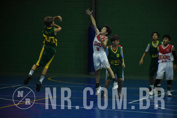 Buy your photos of the eventNR - Little 8 Basketball - 30 a 02/11/19 on Fotop