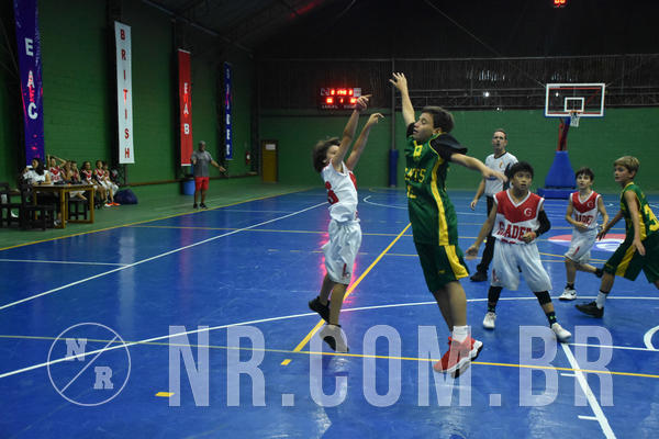Buy your photos of the eventNR - Little 8 Basketball - 30 a 02/11/19 on Fotop