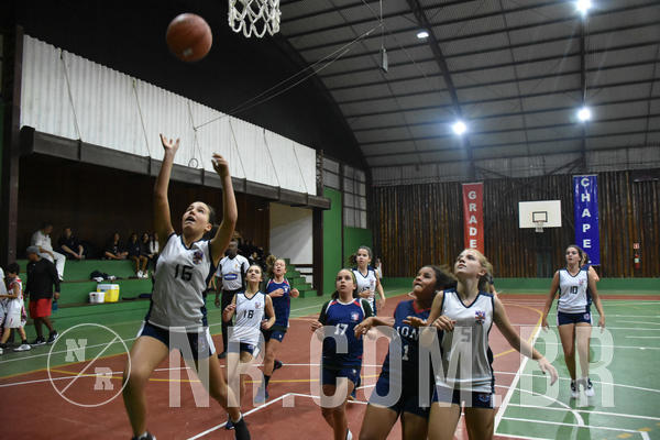 Buy your photos of the eventNR - Little 8 Basketball - 30 a 02/11/19 on Fotop