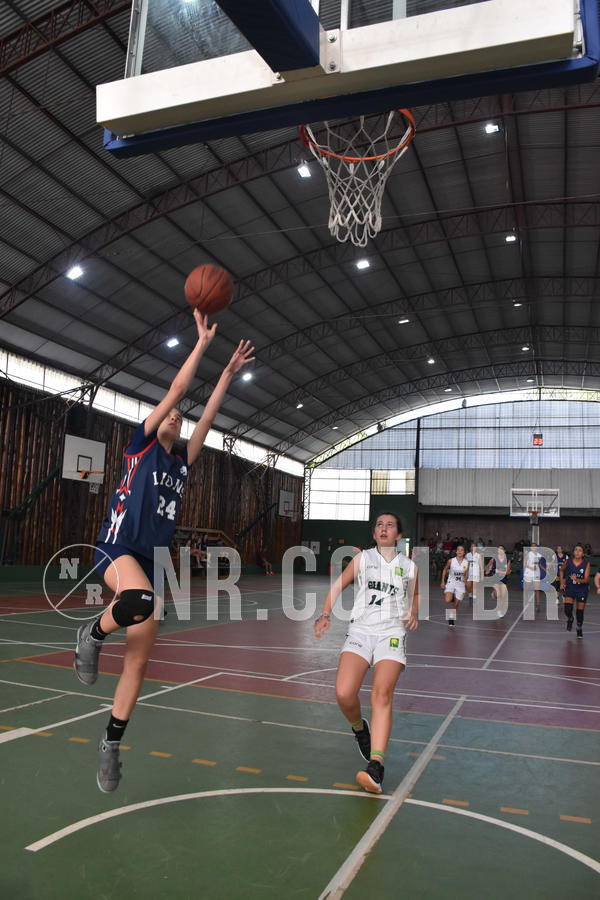 Buy your photos of the eventNR - Little 8 Basketball - 30 a 02/11/19 on Fotop