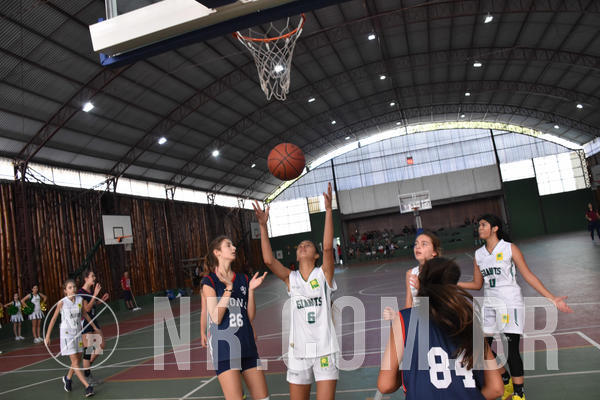 Buy your photos of the eventNR - Little 8 Basketball - 30 a 02/11/19 on Fotop