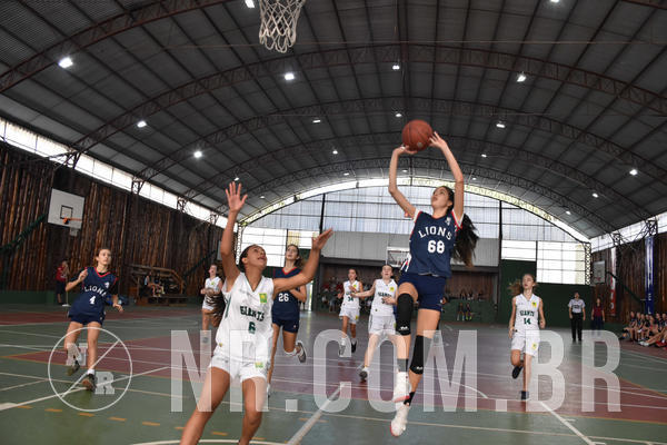Buy your photos of the eventNR - Little 8 Basketball - 30 a 02/11/19 on Fotop
