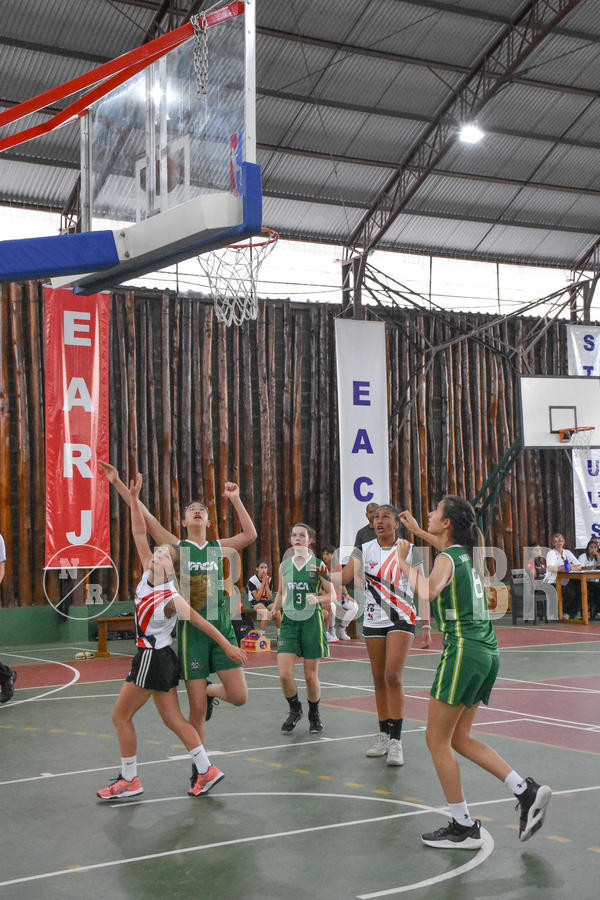 Buy your photos of the eventNR - Little 8 Basketball - 30 a 02/11/19 on Fotop