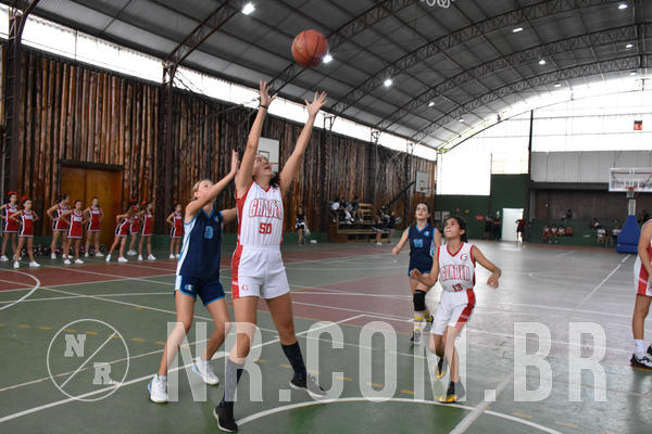 Buy your photos of the eventNR - Little 8 Basketball - 30 a 02/11/19 on Fotop