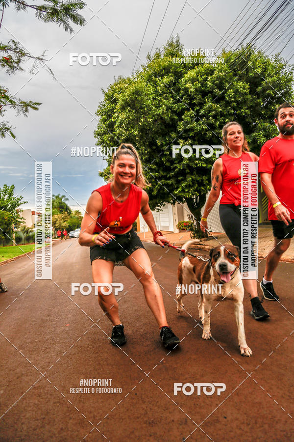 Buy your photos of the eventCircuito dos Bares 2019 on Fotop