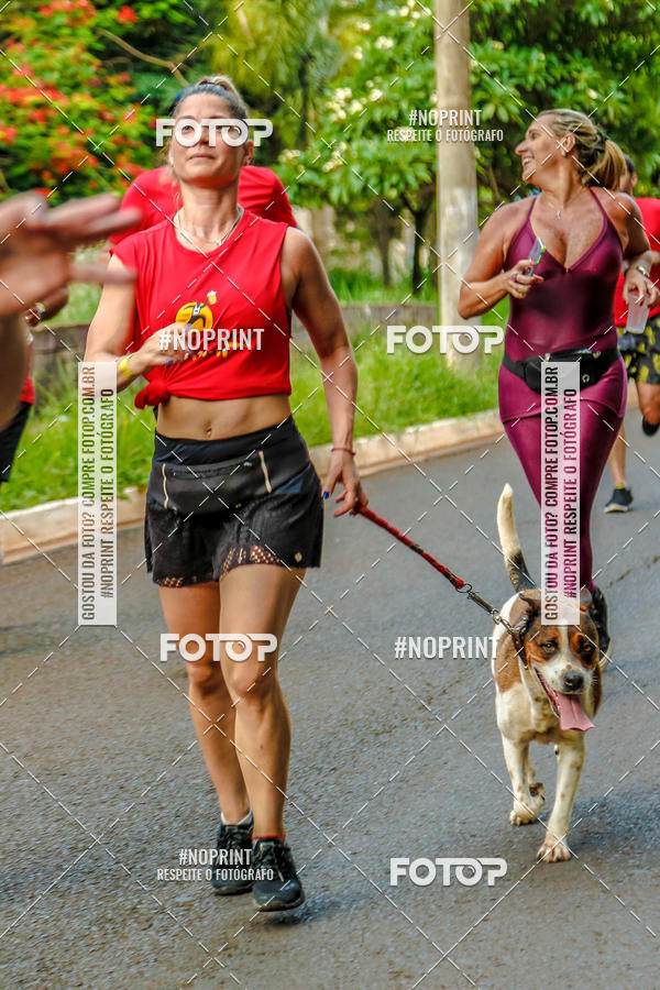 Buy your photos of the eventCircuito dos Bares 2019 on Fotop