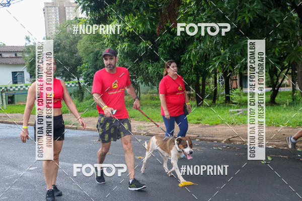 Buy your photos of the eventCircuito dos Bares 2019 on Fotop
