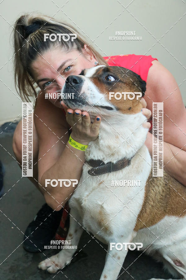 Buy your photos of the eventCircuito dos Bares 2019 on Fotop