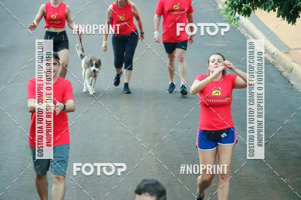 Buy your photos of the eventCircuito dos Bares 2019 on Fotop