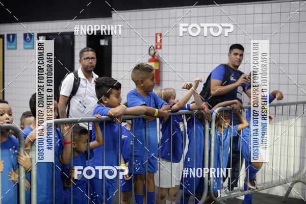 Compre as suas fotos do eventoBotafogo x Cruzeiro  Nilton Santos  - 31/10/2019 no Fotop