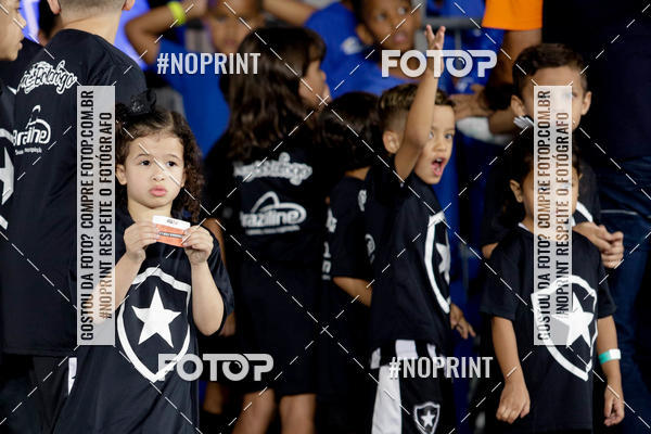 Compre as suas fotos do eventoBotafogo x Cruzeiro  Nilton Santos  - 31/10/2019 no Fotop