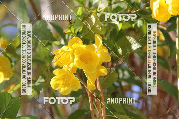 Buy your photos of the event1� Corrida Unimed Norte de Minas on Fotop