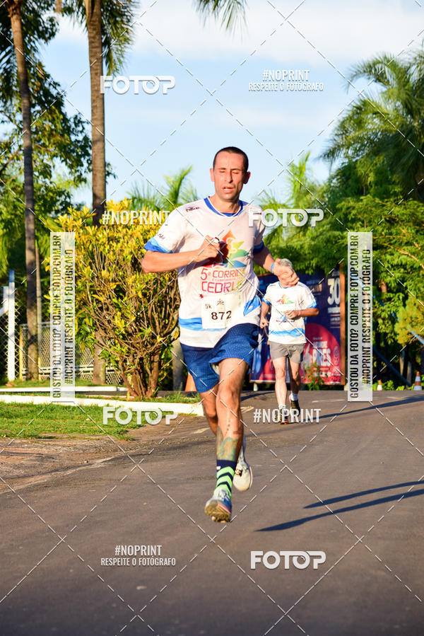 Buy your photos of the event5� Corrida e Caminhada/Kids CEDRUS on Fotop