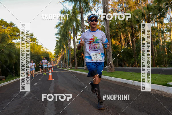 Buy your photos of the event5� Corrida e Caminhada/Kids CEDRUS on Fotop