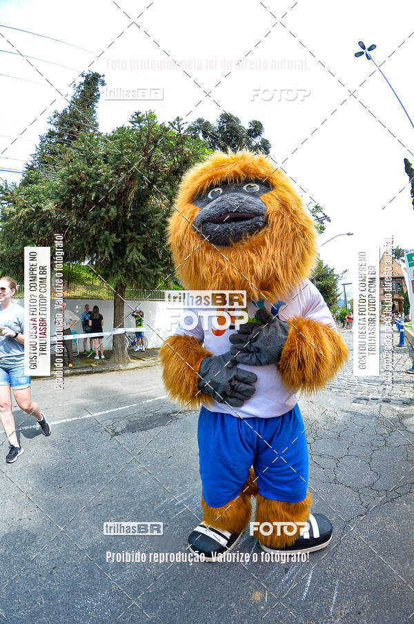 Buy your photos of the eventEST Masculino JASC on Fotop