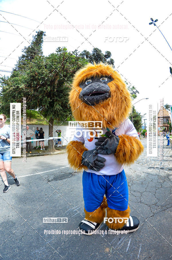 Buy your photos of the eventEST Masculino JASC on Fotop