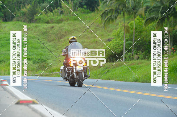 Buy your photos of the eventEST Masculino JASC on Fotop