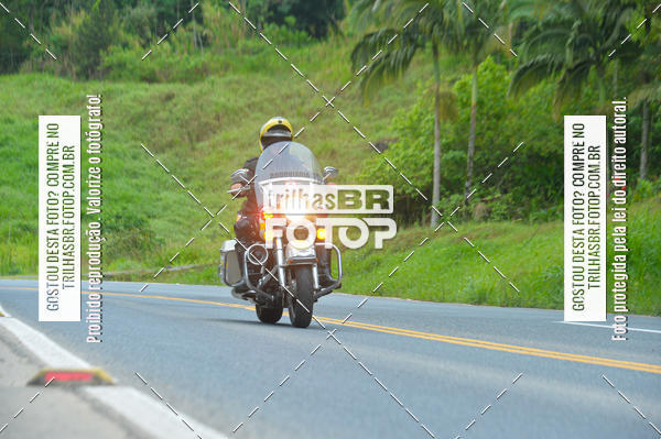 Buy your photos of the eventEST Masculino JASC on Fotop