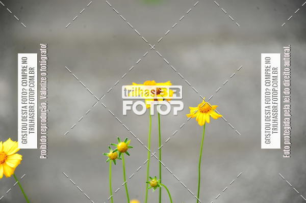 Buy your photos of the eventEST Masculino JASC on Fotop