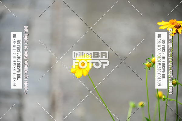 Buy your photos of the eventEST Masculino JASC on Fotop