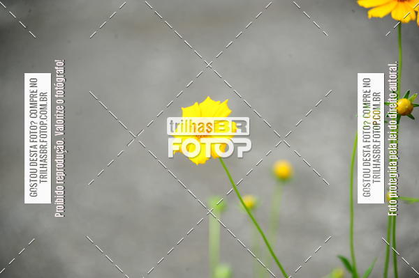 Buy your photos of the eventEST Masculino JASC on Fotop