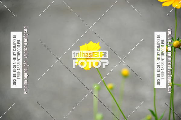 Buy your photos of the eventEST Masculino JASC on Fotop