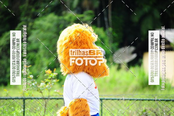 Buy your photos of the eventEST Masculino JASC on Fotop