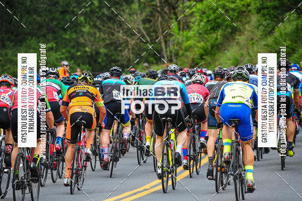 Buy your photos of the eventEST Masculino JASC on Fotop