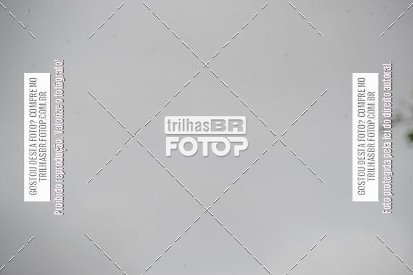 Buy your photos of the eventEST Masculino JASC on Fotop