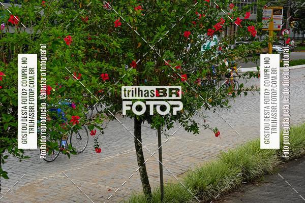 Buy your photos of the eventEST Feminino JASC on Fotop