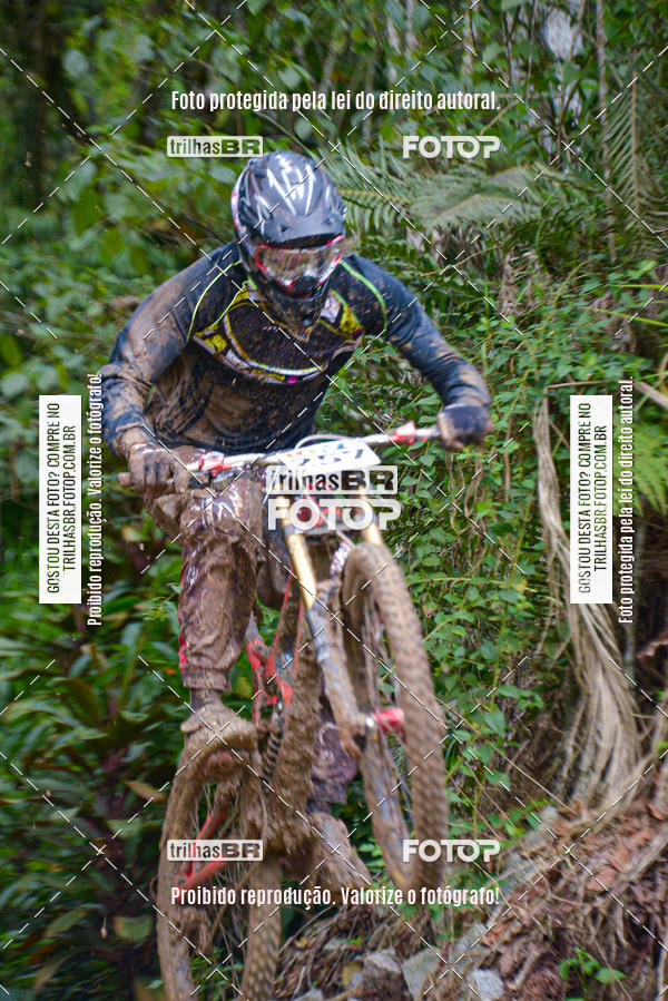 Buy your photos of the eventDHI JASC on Fotop