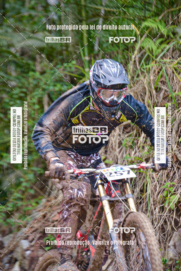 Buy your photos of the eventDHI JASC on Fotop