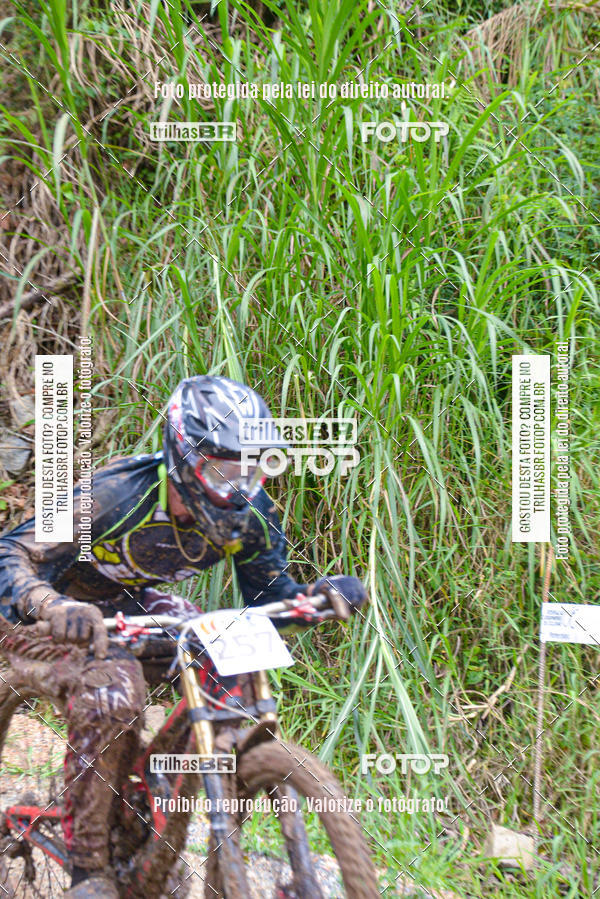 Buy your photos of the eventDHI JASC on Fotop