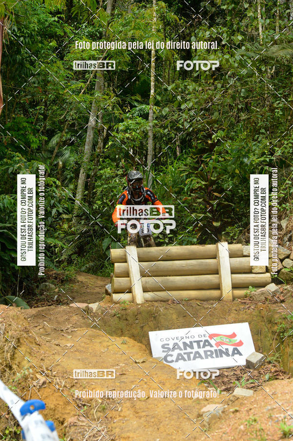 Buy your photos of the eventDHI JASC on Fotop