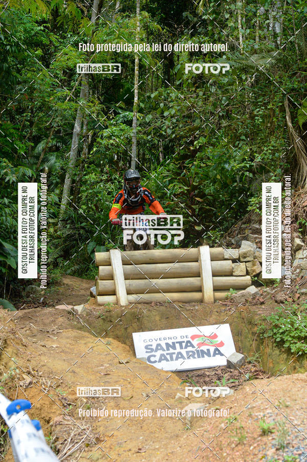 Buy your photos of the eventDHI JASC on Fotop